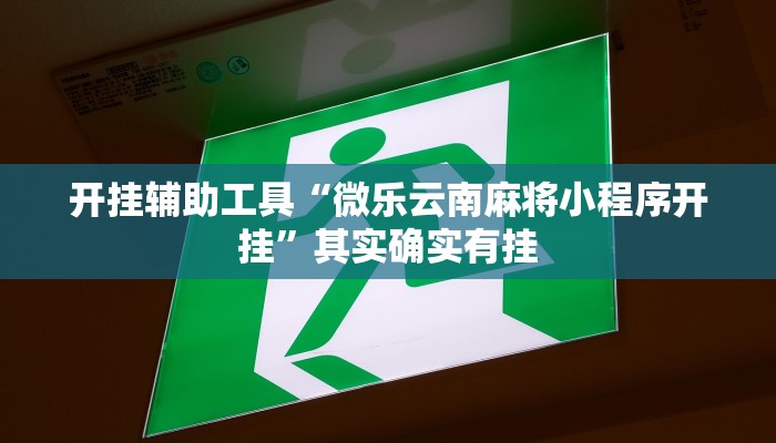 开挂辅助工具“微乐云南麻将小程序开挂”其实确实有挂