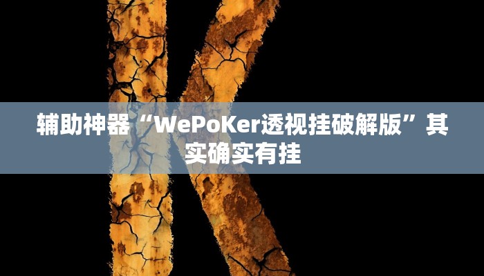 辅助神器“WePoKer透视挂破解版”其实确实有挂