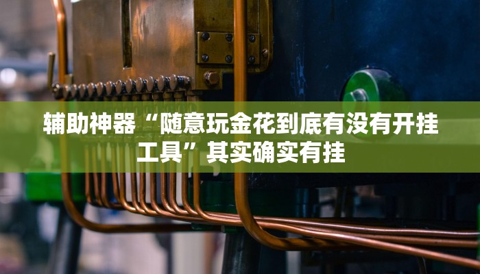 辅助神器“随意玩金花到底有没有开挂工具”其实确实有挂