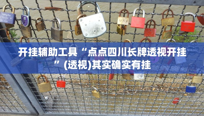 开挂辅助工具“点点四川长牌透视开挂”(透视)其实确实有挂