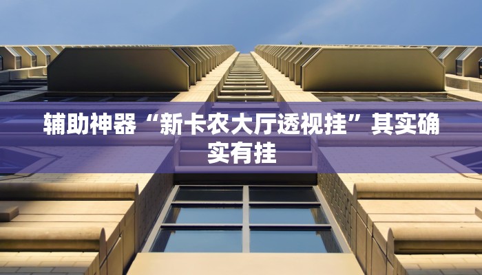 辅助神器“新卡农大厅透视挂”其实确实有挂