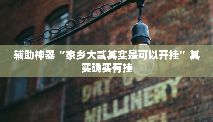 辅助神器“家乡大贰其实是可以开挂”其实确实有挂 辅助神器“家乡大贰其实是可以开挂”其实确实有挂
