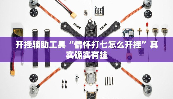 开挂辅助工具“情怀打七怎么开挂”其实确实有挂