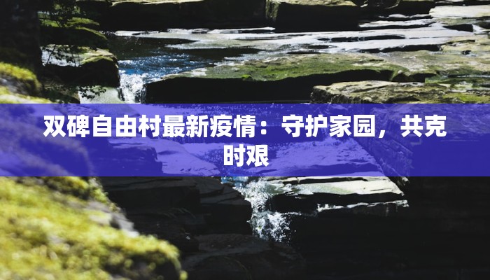 教程辅助“星空娱乐辅助透视开挂”开挂辅助软件教程