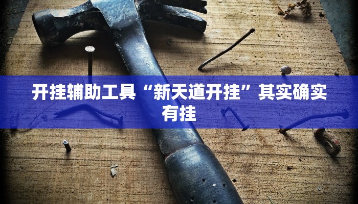 开挂辅助工具“新天道开挂”其实确实有挂