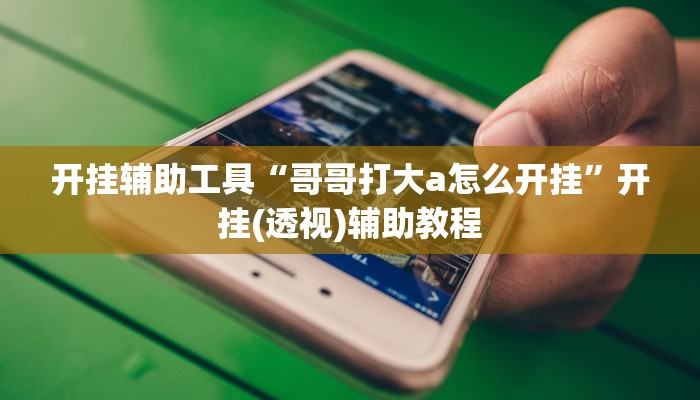 开挂辅助工具“哥哥打大a怎么开挂”开挂(透视)辅助教程