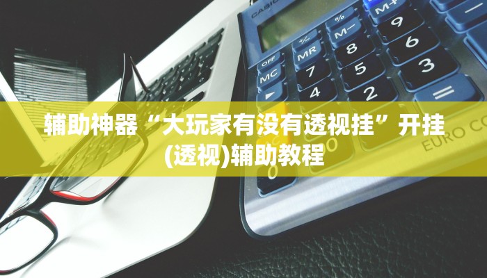 辅助神器“大玩家有没有透视挂”开挂(透视)辅助教程 辅助神器“大玩家有没有透视挂”开挂(透视)辅助教程