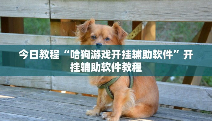 今日教程“哈狗游戏开挂辅助软件”开挂辅助软件教程