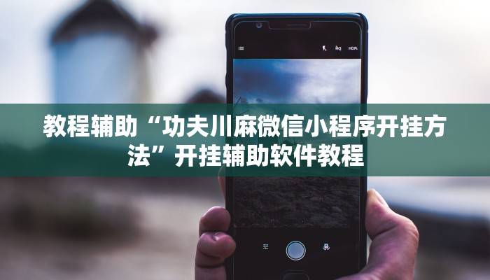 教程辅助“功夫川麻微信小程序开挂方法”开挂辅助软件教程