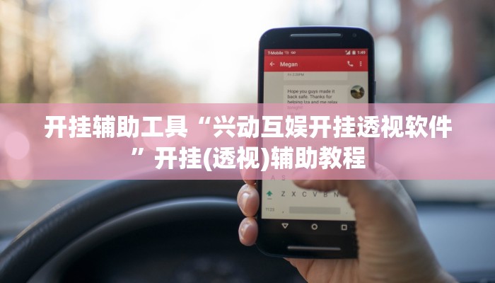 开挂辅助工具“兴动互娱开挂透视软件”开挂(透视)辅助教程 开挂辅助工具“兴动互娱开挂透视软件”开挂(透视)辅助教程