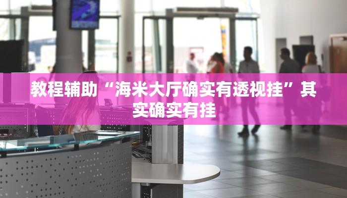 教程辅助“海米大厅确实有透视挂”其实确实有挂
