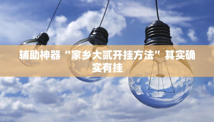 辅助神器“家乡大贰开挂方法”其实确实有挂