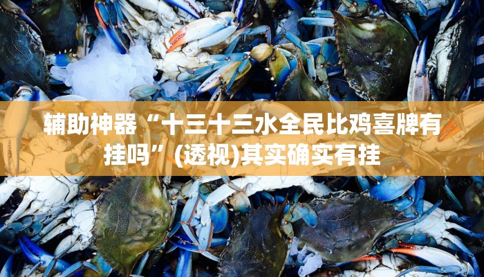 辅助神器“十三十三水全民比鸡喜牌有挂吗”(透视)其实确实有挂