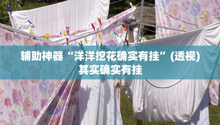 辅助神器“洋洋挖花确实有挂”(透视)其实确实有挂