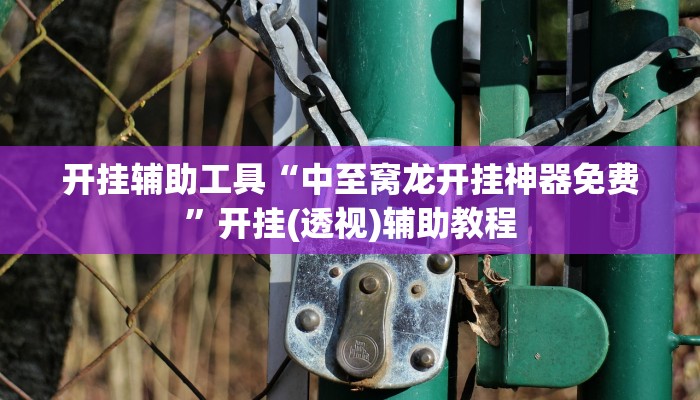 开挂辅助工具“中至窝龙开挂神器免费”开挂(透视)辅助教程 开挂辅助工具“中至窝龙开挂神器免费”开挂(透视)辅助教程