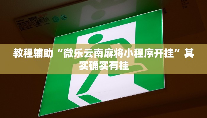 教程辅助“微乐云南麻将小程序开挂”其实确实有挂 教程辅助“微乐云南麻将小程序开挂”其实确实有挂