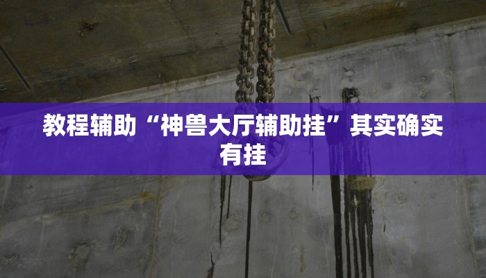 教程辅助“神兽大厅辅助挂”其实确实有挂