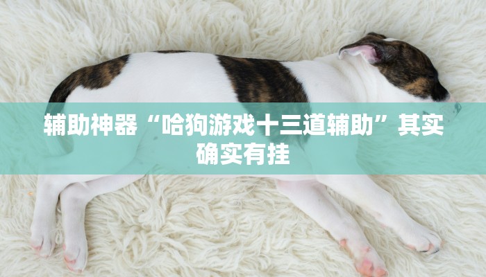 辅助神器“哈狗游戏十三道辅助”其实确实有挂 辅助神器“哈狗游戏十三道辅助”其实确实有挂