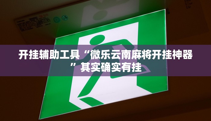 开挂辅助工具“微乐云南麻将开挂神器”其实确实有挂