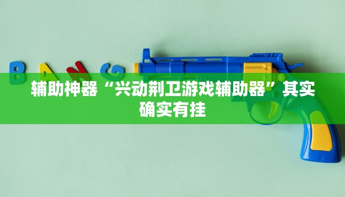 辅助神器“兴动荆卫游戏辅助器”其实确实有挂