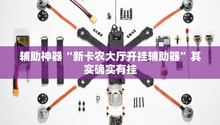 辅助神器“新卡农大厅开挂辅助器”其实确实有挂