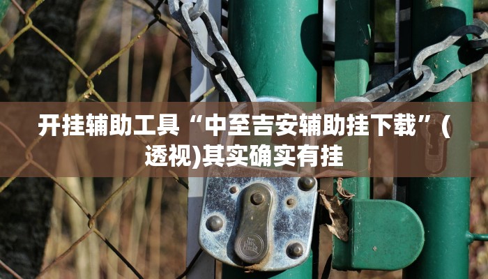 开挂辅助工具“中至吉安辅助挂下载”(透视)其实确实有挂 开挂辅助工具“中至吉安辅助挂下载”(透视)其实确实有挂