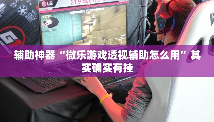 辅助神器“微乐游戏透视辅助怎么用”其实确实有挂