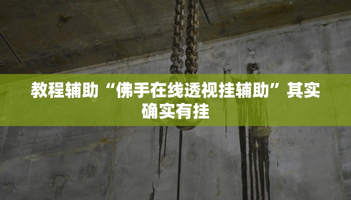 教程辅助“佛手在线透视挂辅助”其实确实有挂