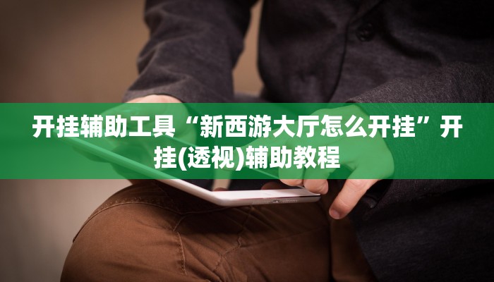 开挂辅助工具“新西游大厅怎么开挂”开挂(透视)辅助教程