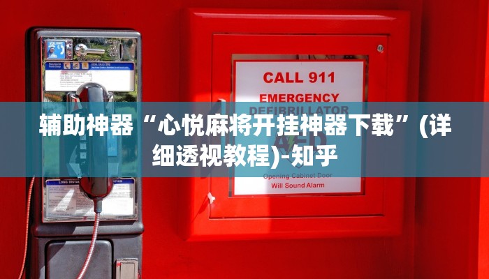 辅助神器“心悦麻将开挂神器下载”(详细透视教程)-知乎