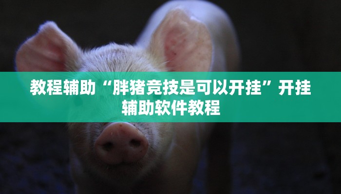 教程辅助“胖猪竞技是可以开挂”开挂辅助软件教程