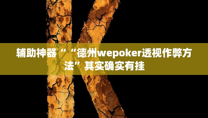 辅助神器““德州wepoker透视作弊方法”其实确实有挂