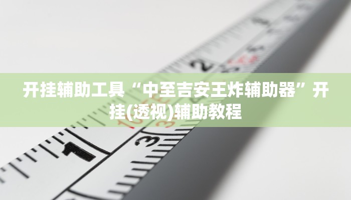 开挂辅助工具“中至吉安王炸辅助器”开挂(透视)辅助教程 开挂辅助工具“中至吉安王炸辅助器”开挂(透视)辅助教程