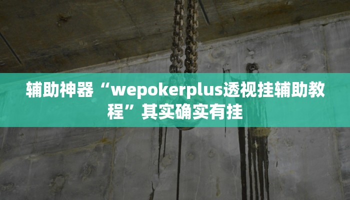 辅助神器“wepokerplus透视挂辅助教程”其实确实有挂