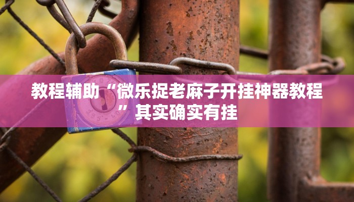 教程辅助“微乐捉老麻子开挂神器教程”其实确实有挂 教程辅助“微乐捉老麻子开挂神器教程”其实确实有挂