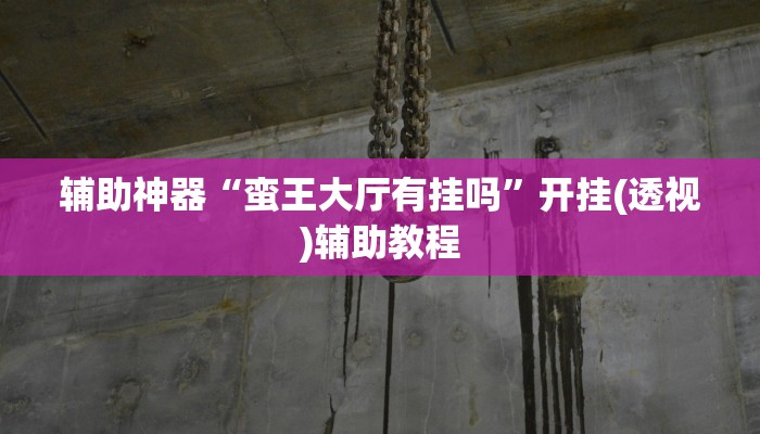 辅助神器“蛮王大厅有挂吗”开挂(透视)辅助教程