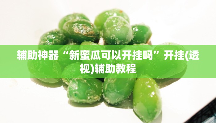 辅助神器“新蜜瓜可以开挂吗”开挂(透视)辅助教程