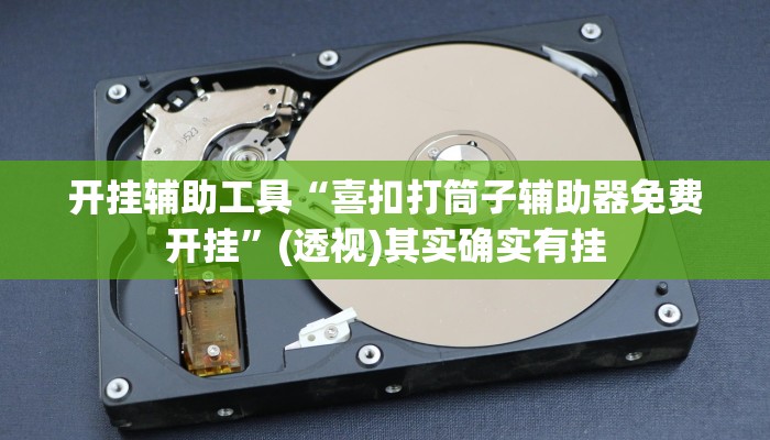 开挂辅助工具“喜扣打筒子辅助器免费开挂”(透视)其实确实有挂