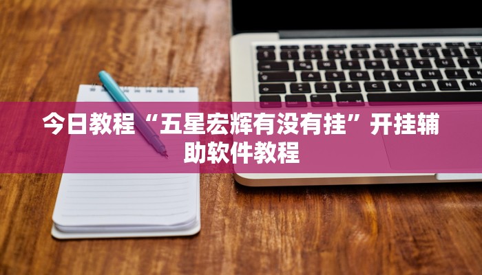 今日教程“五星宏辉有没有挂”开挂辅助软件教程