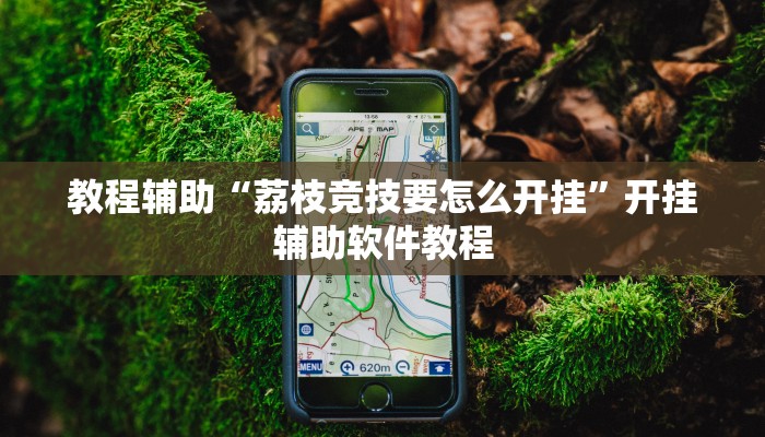 教程辅助“荔枝竞技要怎么开挂”开挂辅助软件教程