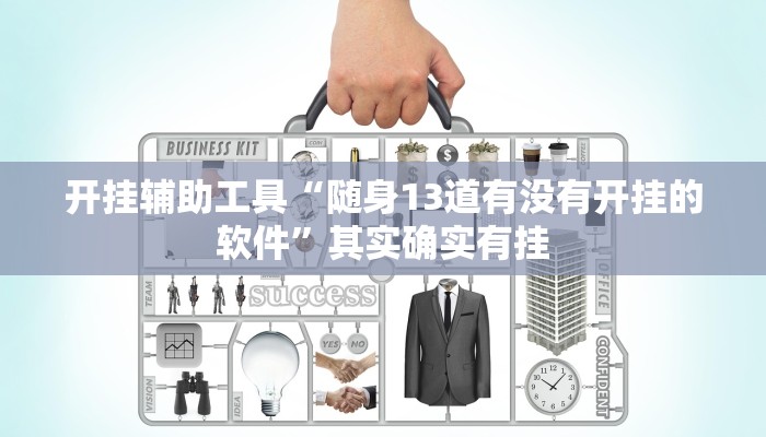 开挂辅助工具“随身13道有没有开挂的软件”其实确实有挂