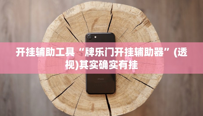 开挂辅助工具“牌乐门开挂辅助器”(透视)其实确实有挂