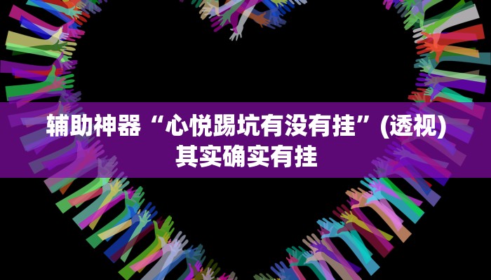 辅助神器“心悦踢坑有没有挂”(透视)其实确实有挂