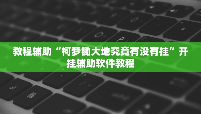 教程辅助“柯梦锄大地究竟有没有挂”开挂辅助软件教程