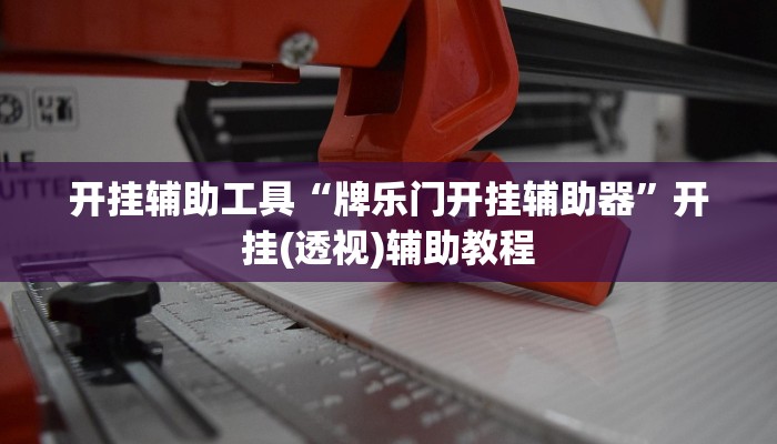 开挂辅助工具“牌乐门开挂辅助器”开挂(透视)辅助教程