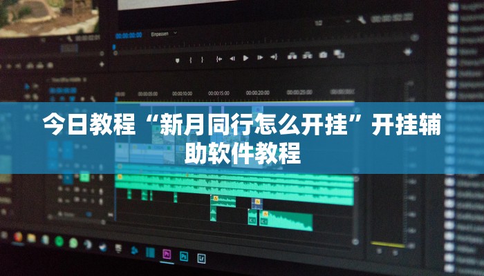 今日教程“新月同行怎么开挂”开挂辅助软件教程