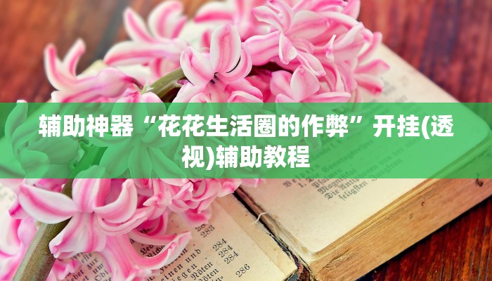辅助神器“花花生活圈的作弊”开挂(透视)辅助教程