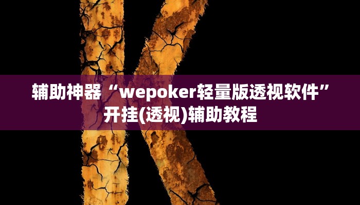 辅助神器“wepoker轻量版透视软件”开挂(透视)辅助教程