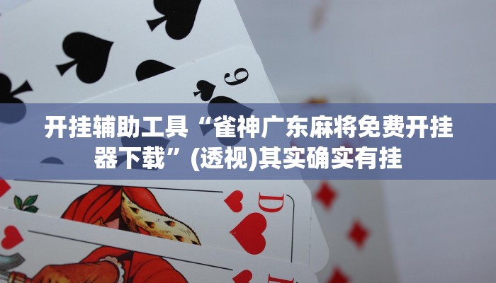 开挂辅助工具“雀神广东麻将免费开挂器下载”(透视)其实确实有挂