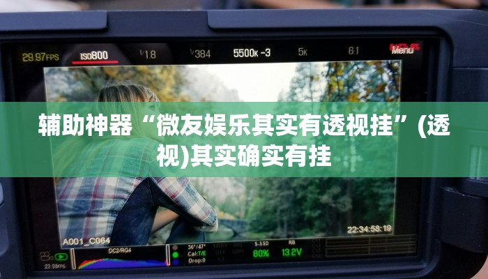 辅助神器“微友娱乐其实有透视挂”(透视)其实确实有挂